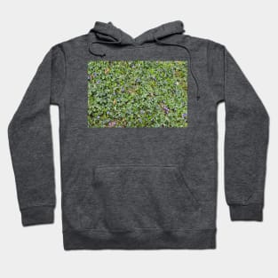 All Over Tiny Purple Flowers Hoodie